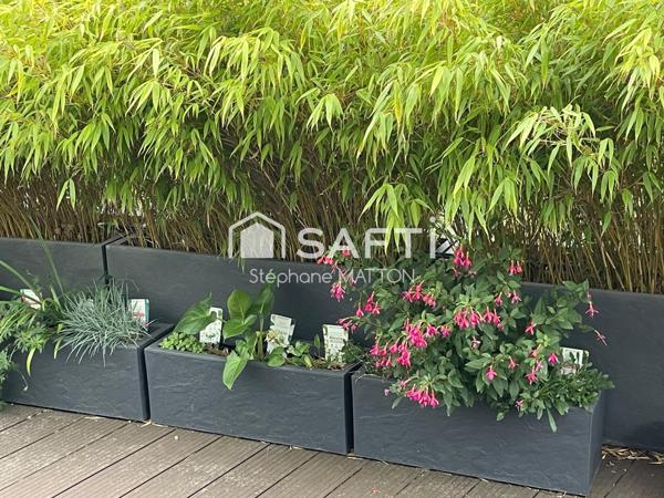 Appartement T3 + magnifique terrasse de 37 m2