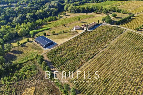 Exclusivité. Domaine de caractère avec vignoble et mas historique