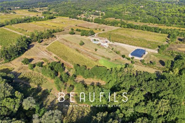 Exclusivité. Domaine de caractère avec vignoble et mas historique