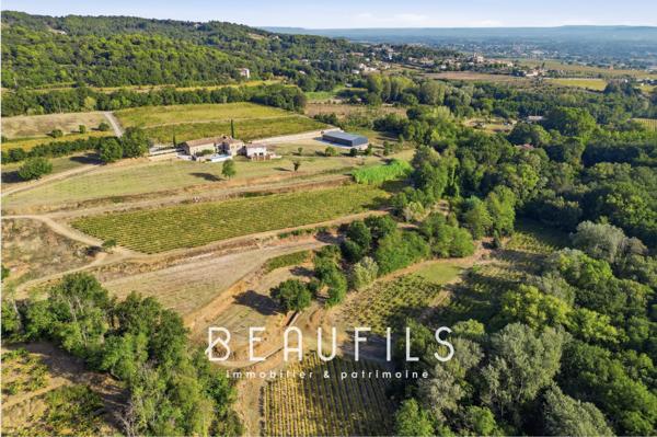 Exclusivité. Domaine de caractère avec vignoble et mas historique