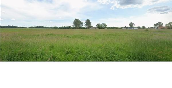 Terrain à vendre 26 000 € Parcoul 3048 m² DPE