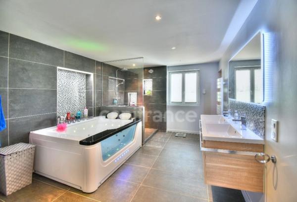 Dpt MIONNAY (01), à vendre maison 220 m² - 4 chambres - Terrain de 1500,00 m² avec piscine