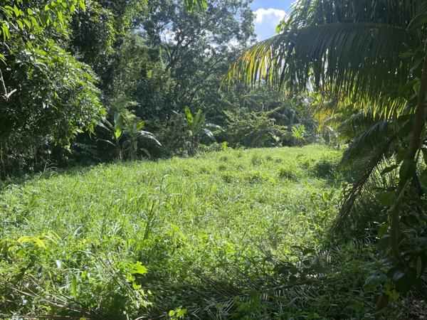 Vente                                                      Maison
                        
                     4 pièces                                         à Rivière-Salée