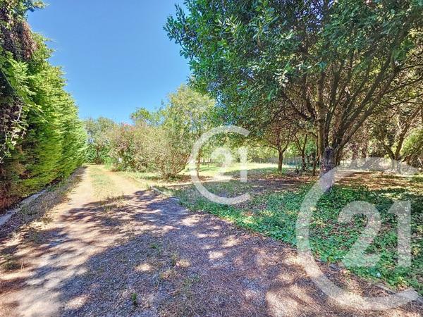 Maison à vendre  6 pièces - 134,10 m2 MAS THIBERT - 13