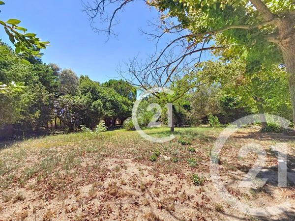 Maison à vendre  6 pièces - 134,10 m2 MAS THIBERT - 13