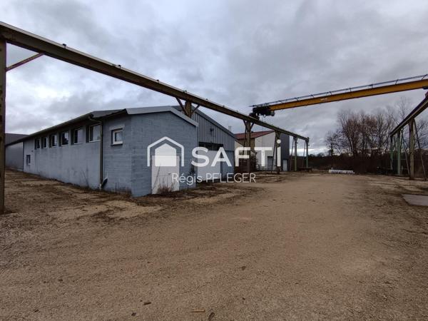 Grand Bâtiment Industriel/Artisanal avec bureaux