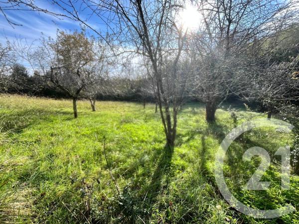 Terrain à vendre  2139 m2 MIREMONT - 31