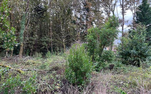 Terrain à vendre |  Le Taillan-Médoc |  656 m²