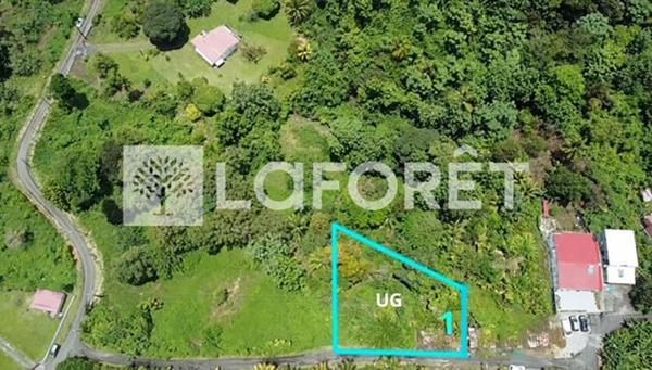 Achat terrain Capesterre-Belle-Eau - 854 m² - 83 000 €