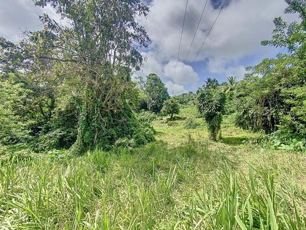 Achat terrain Capesterre-Belle-Eau - 854 m² - 83 000 €