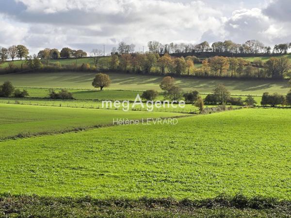 Maison à Sillé-le-Guillaume, 72140 - 10 pièces 176m²