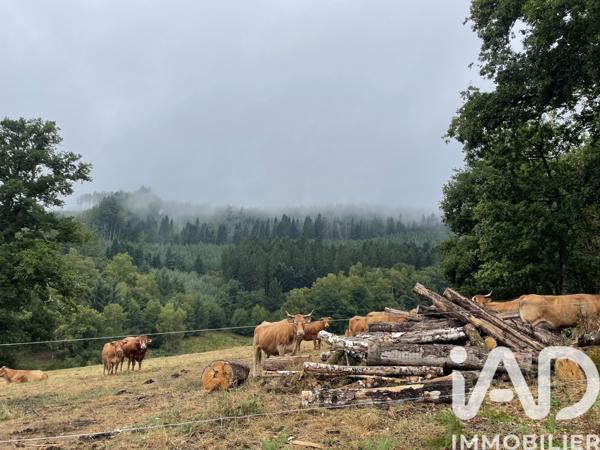 Terrain à vendre 121 370 m² Nedde