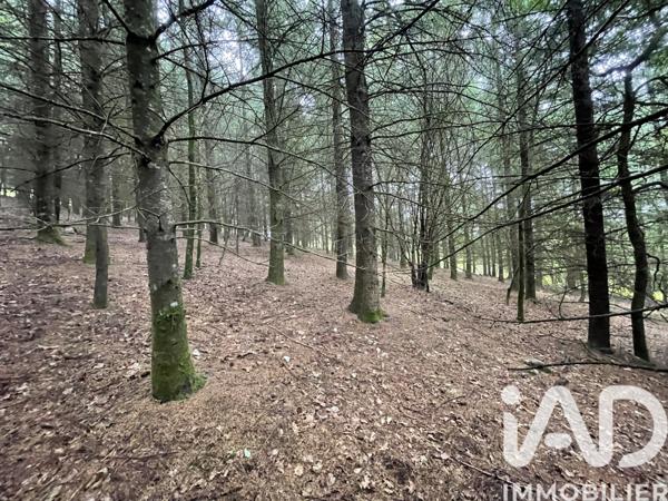 Terrain à vendre 121 370 m² Nedde