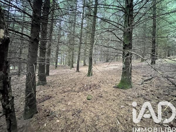 Terrain à vendre 121 370 m² Nedde