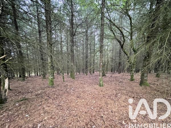 Terrain à vendre 121 370 m² Nedde