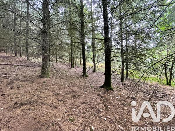 Terrain à vendre 121 370 m² Nedde