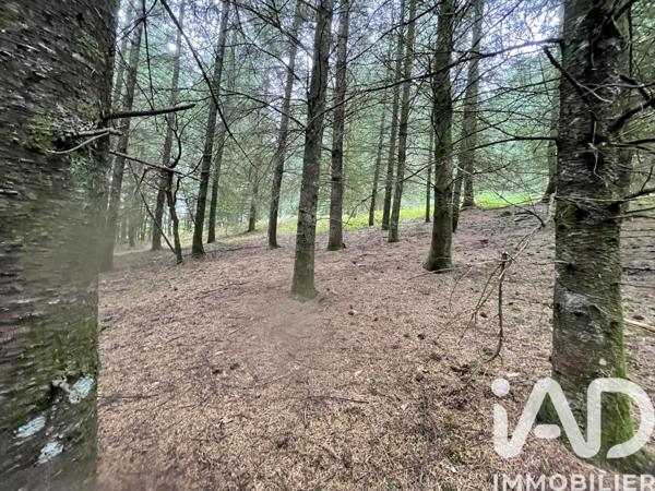 Terrain à vendre 121 370 m² Nedde