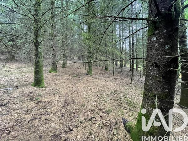 Terrain à vendre 121 370 m² Nedde