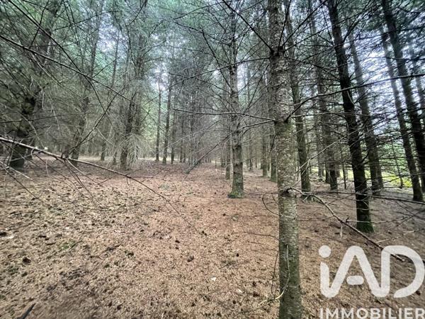 Terrain à vendre 121 370 m² Nedde