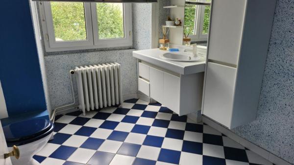 Maison de Charme hyper-centre de Laval