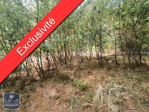 Terrain à vendre 4985m²