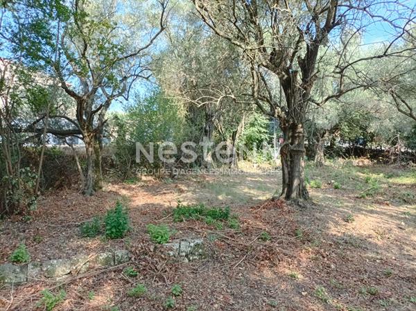Terrain à bâtir Grasse 846 m2, beau secteur de Saint Antoine