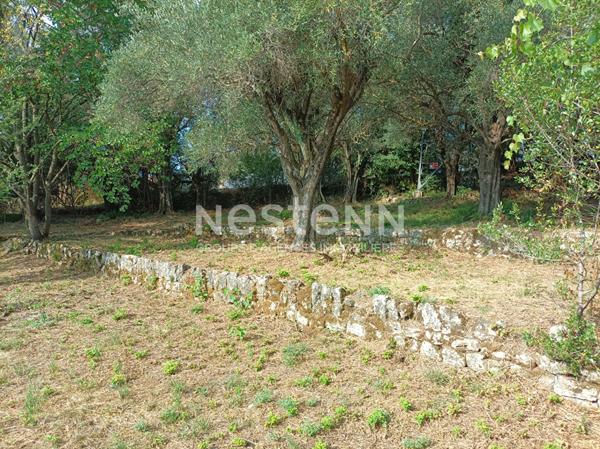 Terrain à bâtir Grasse 846 m2, beau secteur de Saint Antoine