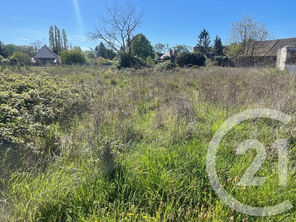 Terrain à vendre  1035 m 2   BOUZY LA FORET  - 45