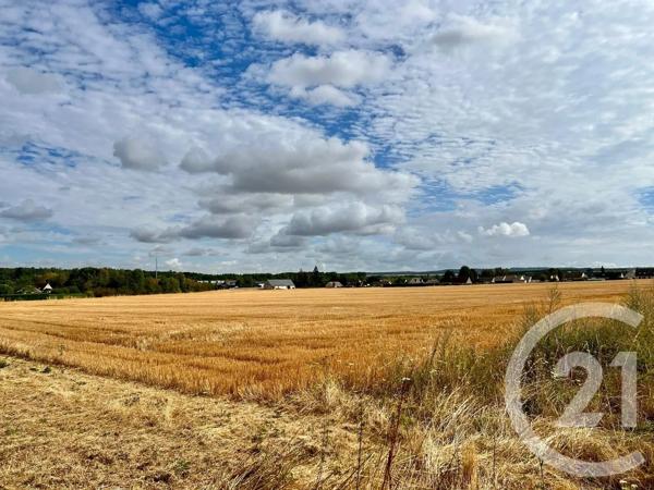 Terrain à vendre  26225 m 2   ANET  - 28