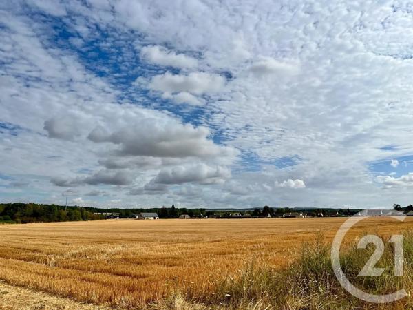 Terrain à vendre  26225 m 2   ANET  - 28