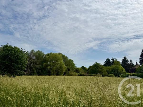 Terrain à vendre  26225 m 2   ANET  - 28