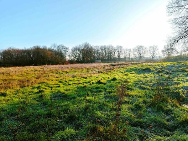 A VENDRE LONGERE - BAUGE EN ANJOU