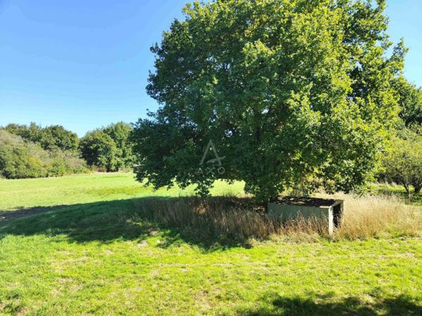 A VENDRE LONGERE - BAUGE EN ANJOU