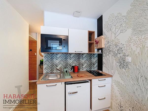 Appartement T1 à louer à Landerneau - 14.94 m² , Landerneau