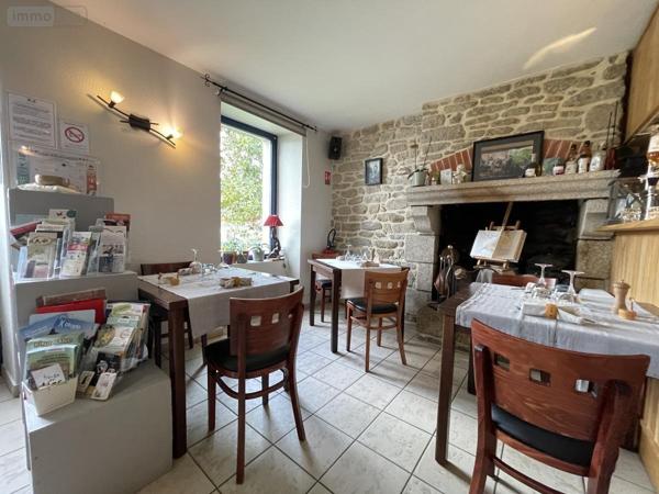 Fonds et/ou murs commerciaux à vendre à Locminé dans le Morbihan (56500), ref : 56076-1304