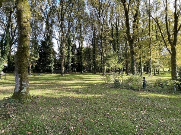 Fonds et/ou murs commerciaux à vendre à Locminé dans le Morbihan (56500), ref : 56076-1304