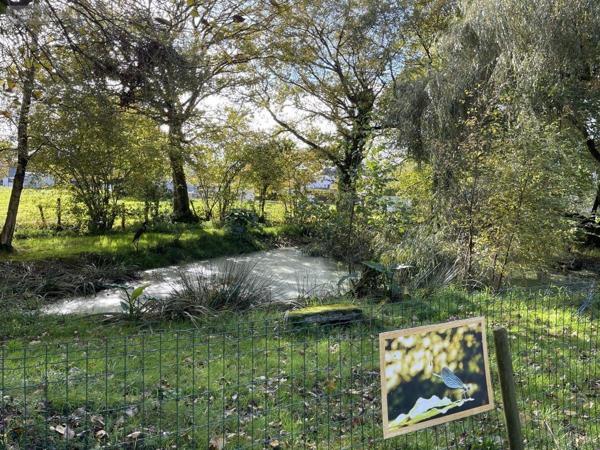 Fonds et/ou murs commerciaux à vendre à Locminé dans le Morbihan (56500), ref : 56076-1304