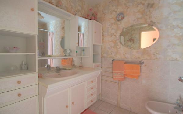 Maison à vendre    5 pièces •  La Chapelle-Saint-Mesmin