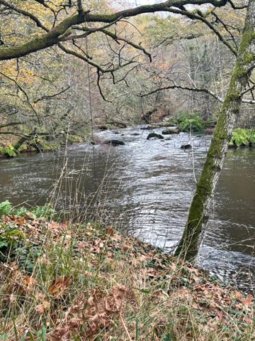 Propriete rénovée 242m2 avec 14,9 hectares 435000€ SAINT JUNIEN (87)