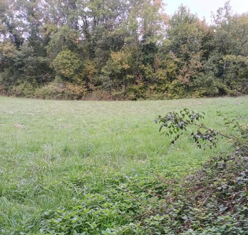 Terrain constructible