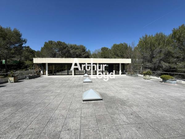 Bureaux avec terrasse privative à la location Sophia Antipolis
