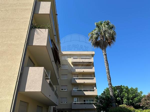 Appartement  en vente - Saint-Augustin