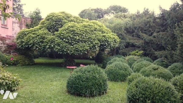 Propriété de caractère 10 pièces 