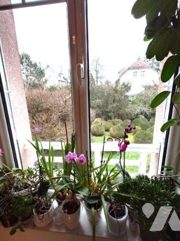 Propriété de caractère 10 pièces 