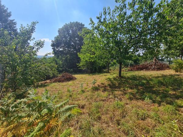 Maison en pierre – 16 505 m² de terrain – Cadre champêtre exceptionnel