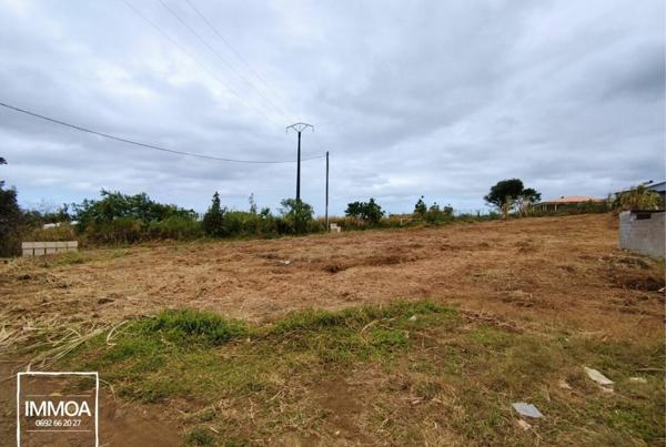 Deux Parcelles de Terrain à Vendre à Sainte-Suzanne 97441 – Secteur de l’Espérance