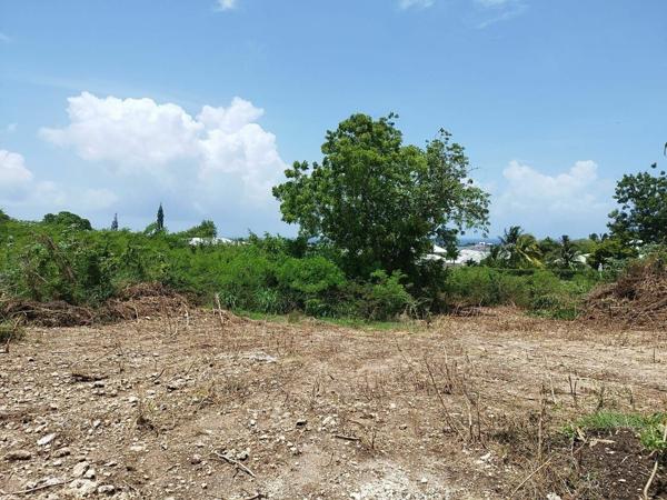 Terrain à vendre       Saint-François