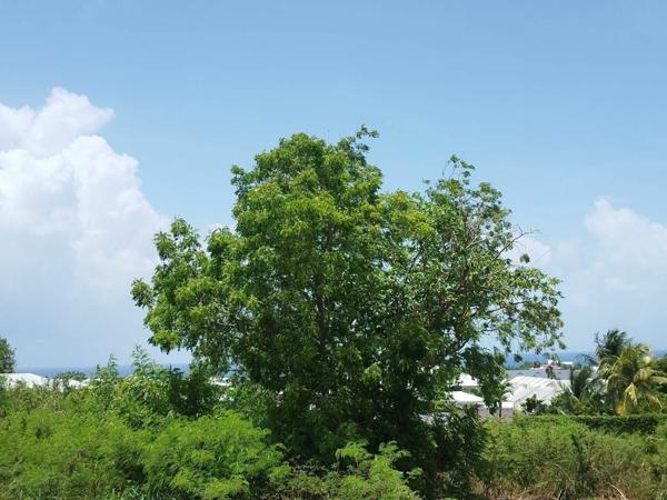 Terrain à vendre       Saint-François