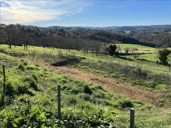 Maison à vendre |  Albignac |  1 pièce | 17 m²