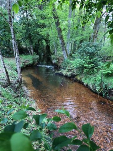 Magnifique propriété au coeur de la Sologne